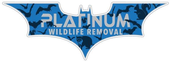 Elkhart County Wildlife Removal