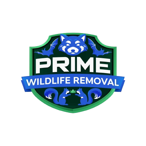 Elkhart County Wildlife Removal